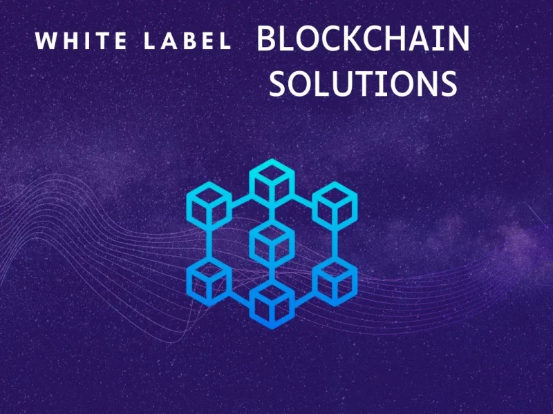 White label blockchain solutions development company